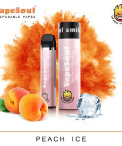 VAPEINDIA DISPOSABLES