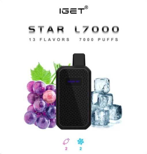 IGET DISPOSABLE VAPE