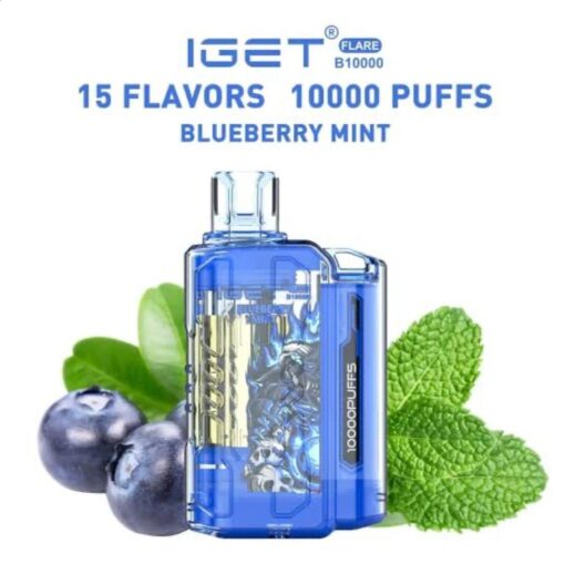 IGET FLARE B10000 Rechargeable (10000 Puffs)